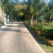 Decorative Concrete - Before