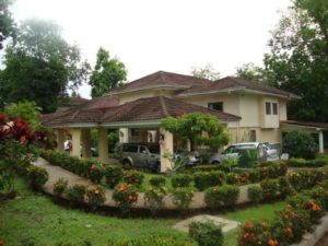 Deco Decorative Sealer Before Deco Decorative Sealer Before